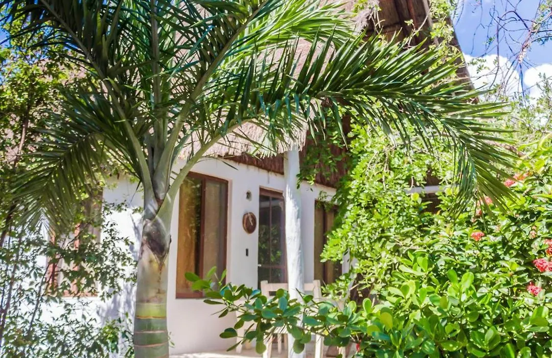 Roc Luxe Tulum-1