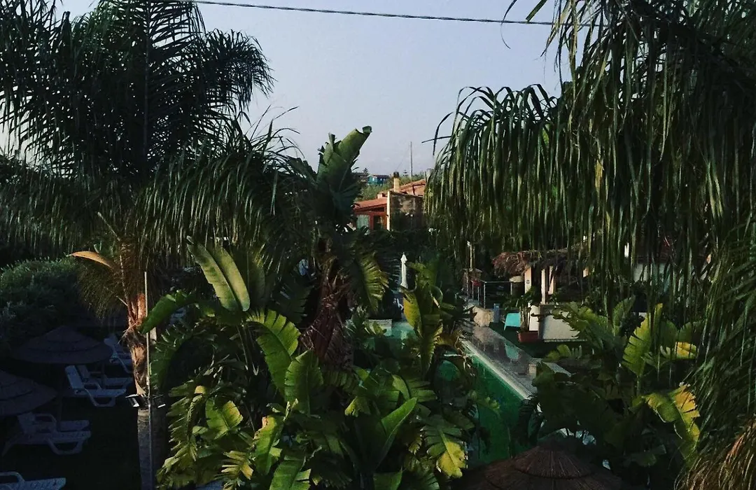 Saija Resort-1