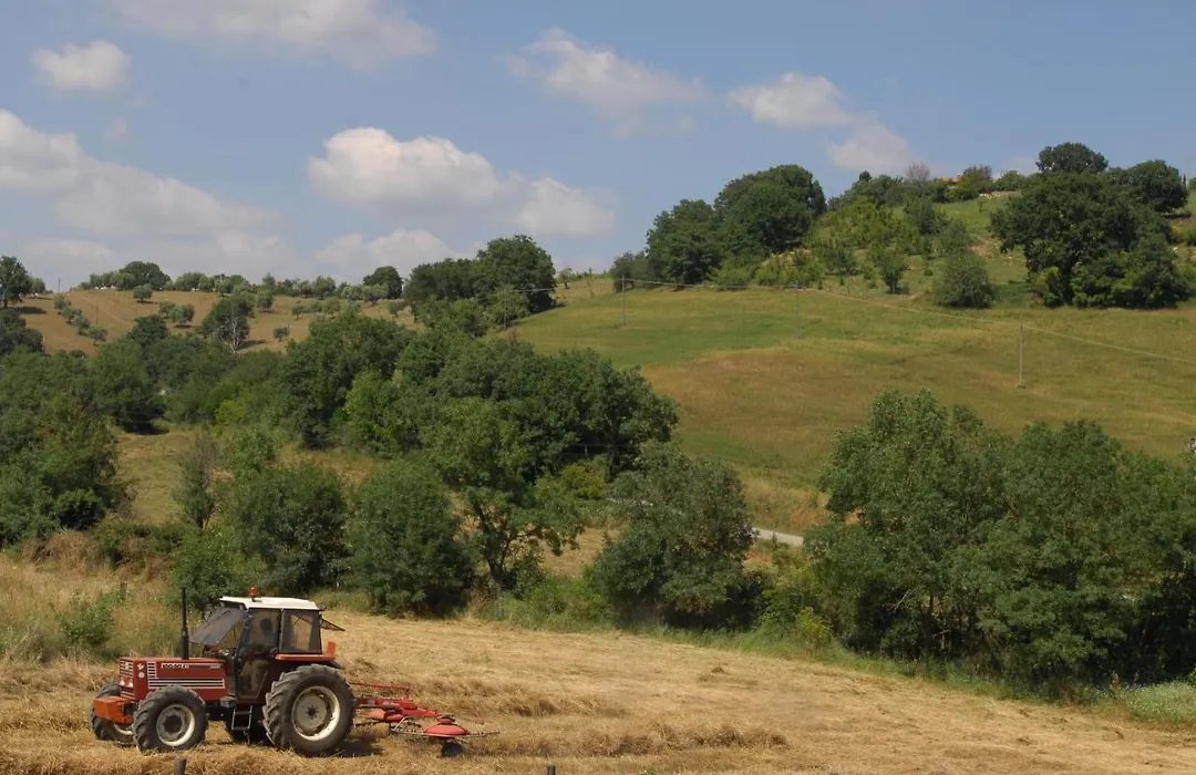 Borgo Fontale-1