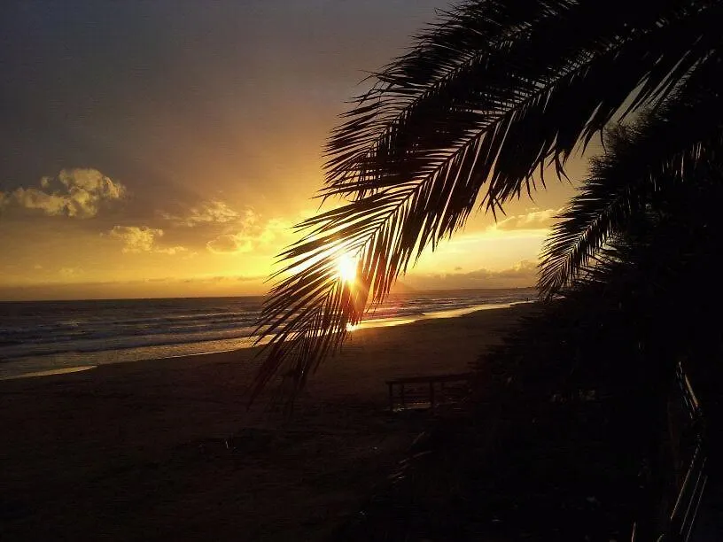 I Pesci Di Sperlonga-1