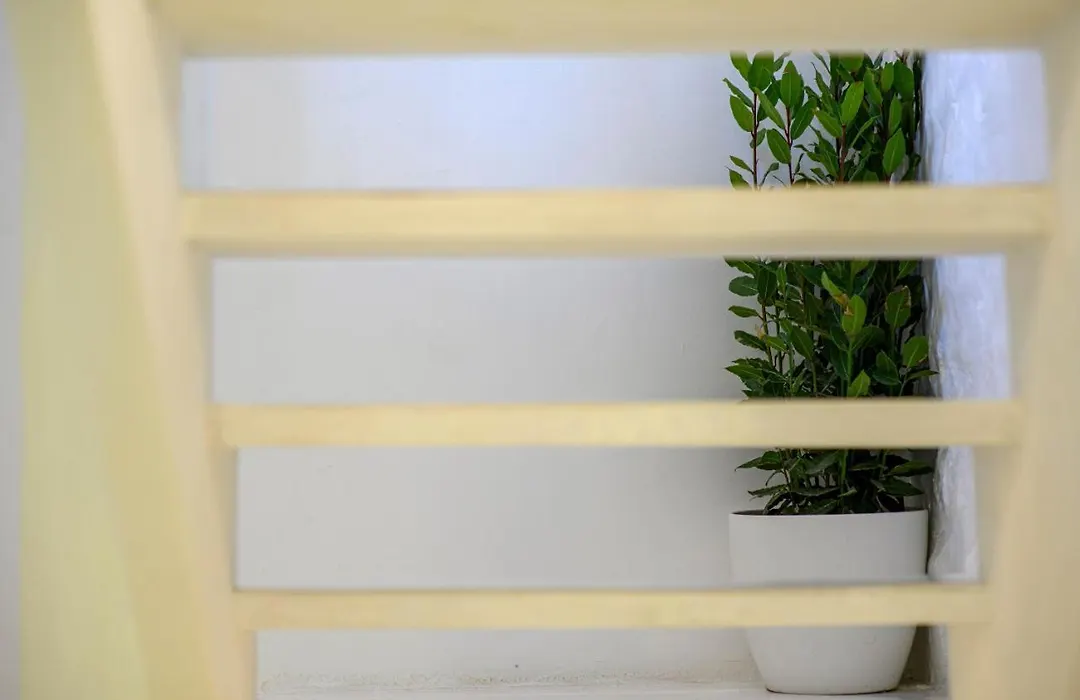 Swan Adriatic Apartment & Room-1