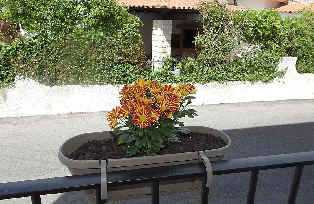 Hospedaria Do Senhor Da Pedra-1
