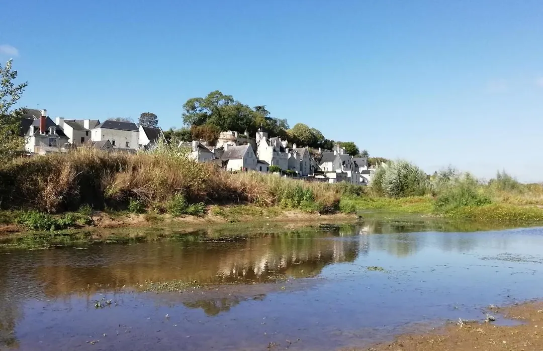 La Sterne de Loire Charming House-1