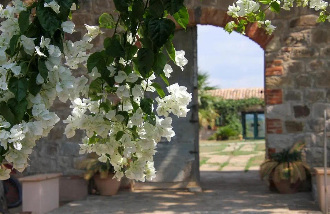 Masseria Del Piano-1