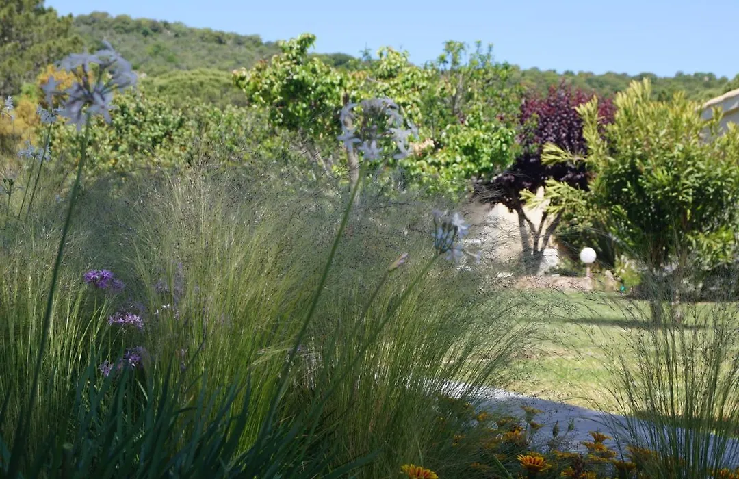 Les Jardins De Santa Giulia - Charmante chambre dhte-1