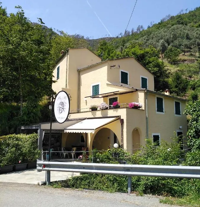 Il Ghiro-1