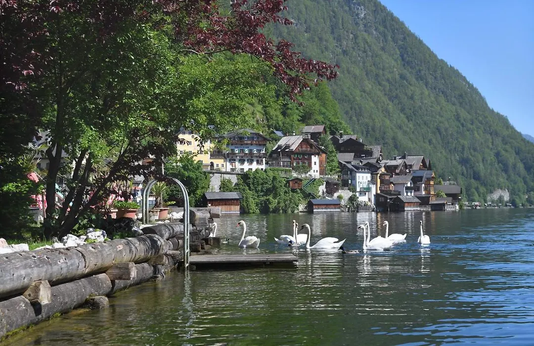 Gasthof Simony Hallstatt B&B-1