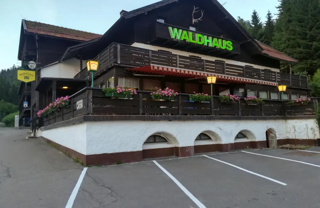 Hotel Waldhaus-1