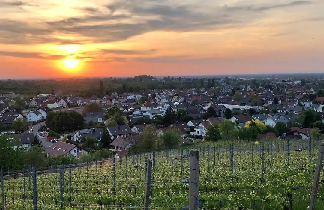 Linde Oberachern-1