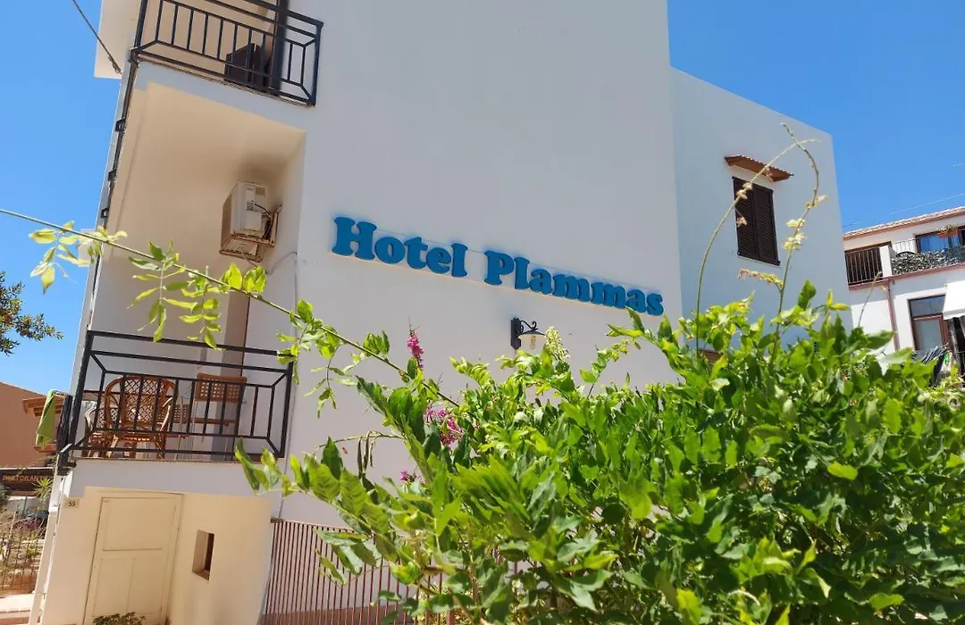 Hotel Plammas-1