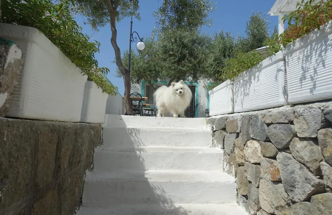 Il Capriccio Guesthouse-1