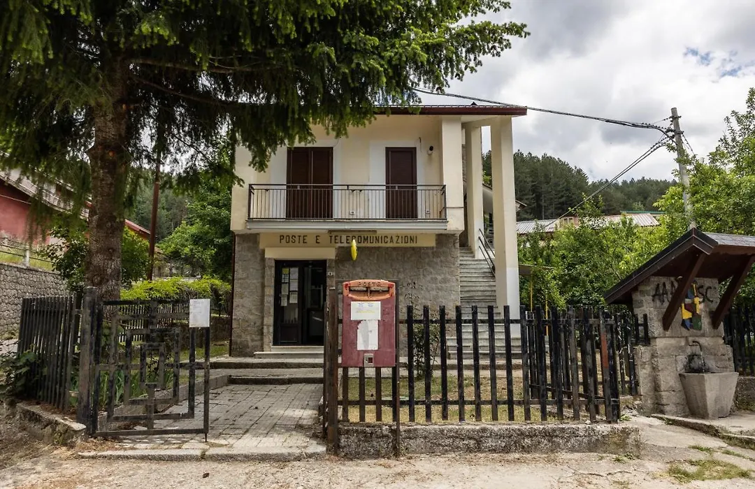 B&B Loricaly-1
