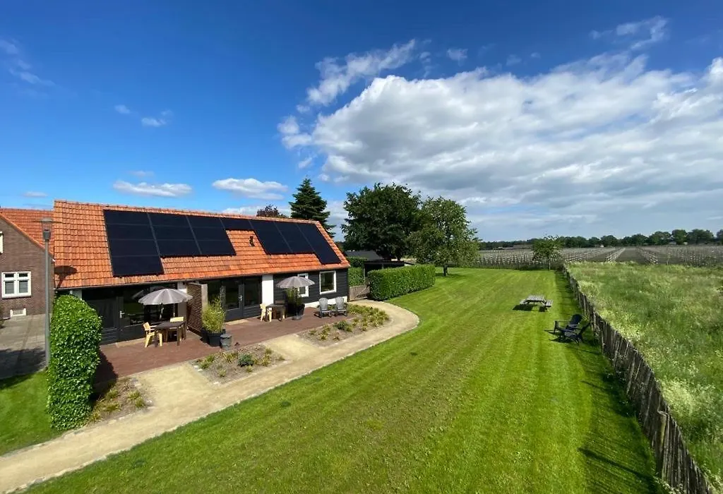Bed & Breakfast Bed In Brabant Veghel-1