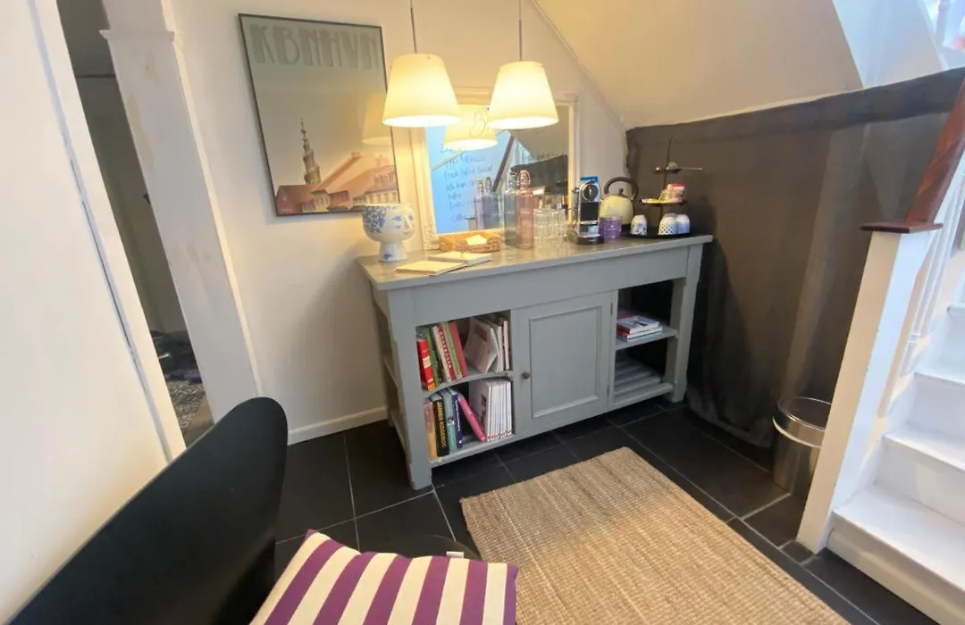 Comfortable Large Room King S Bed Near Cph Centre-1