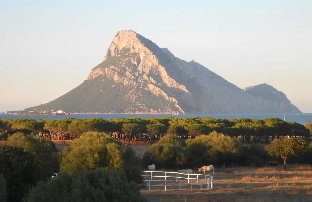 B&B La Taerra-1