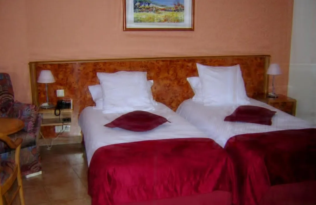 Hotel Sud Alsace-1