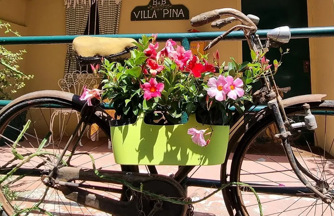 Villa Pina-1