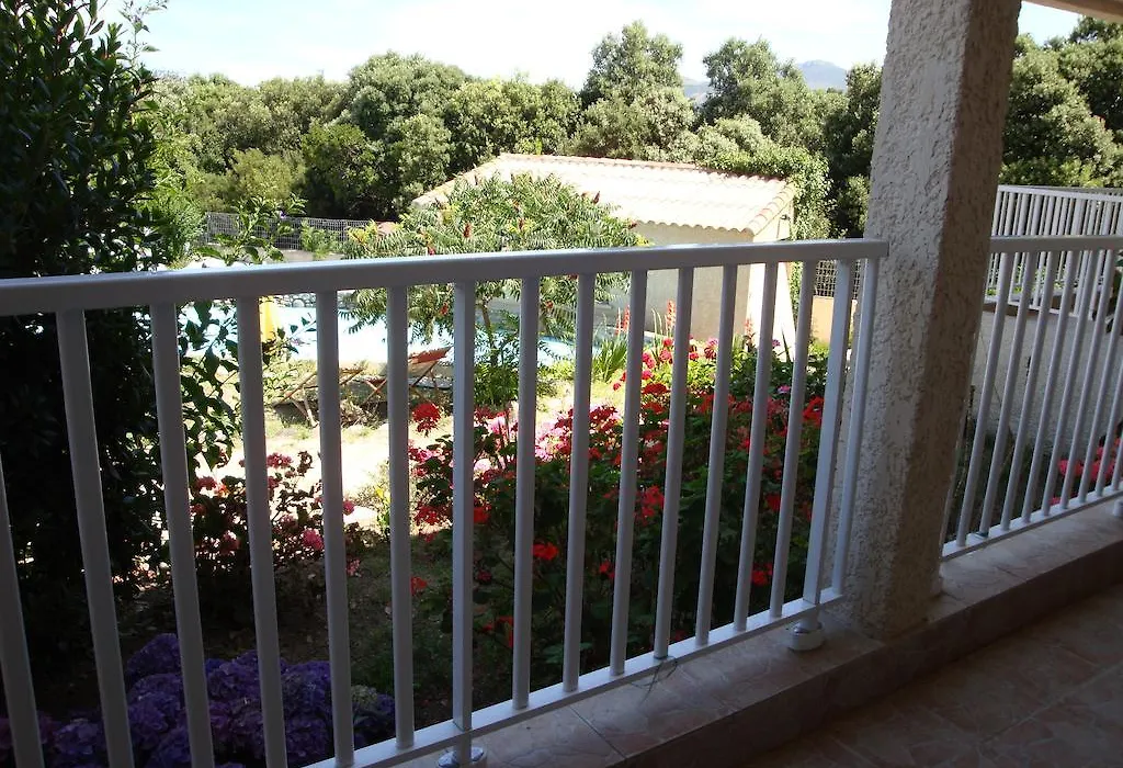 Hôtel Camparellu-1