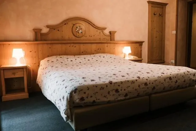 Hotel Primiero-1