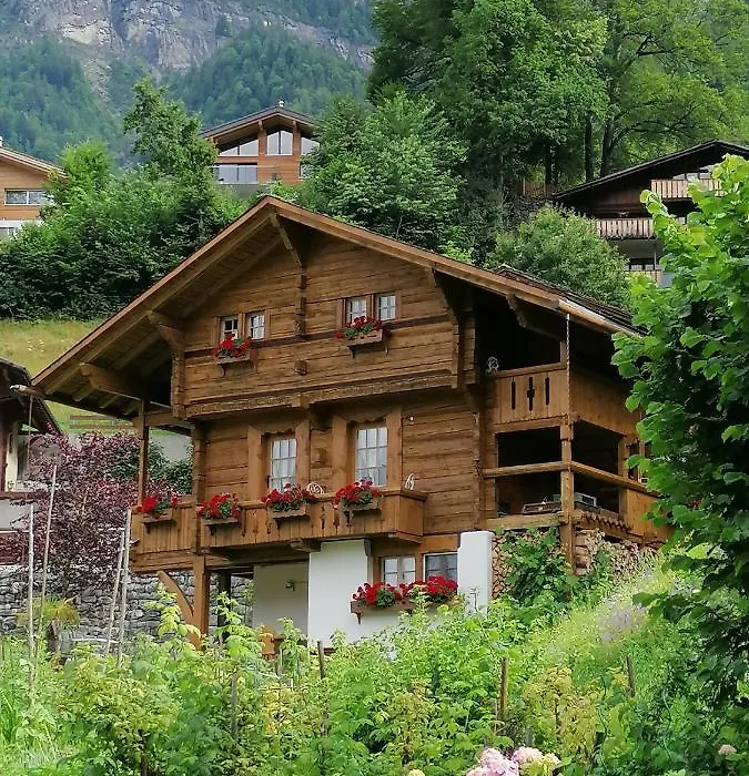 B&B Brienz-1