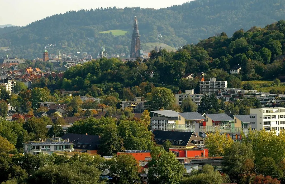 Hotel Schwärs Löwen Freiburg-1