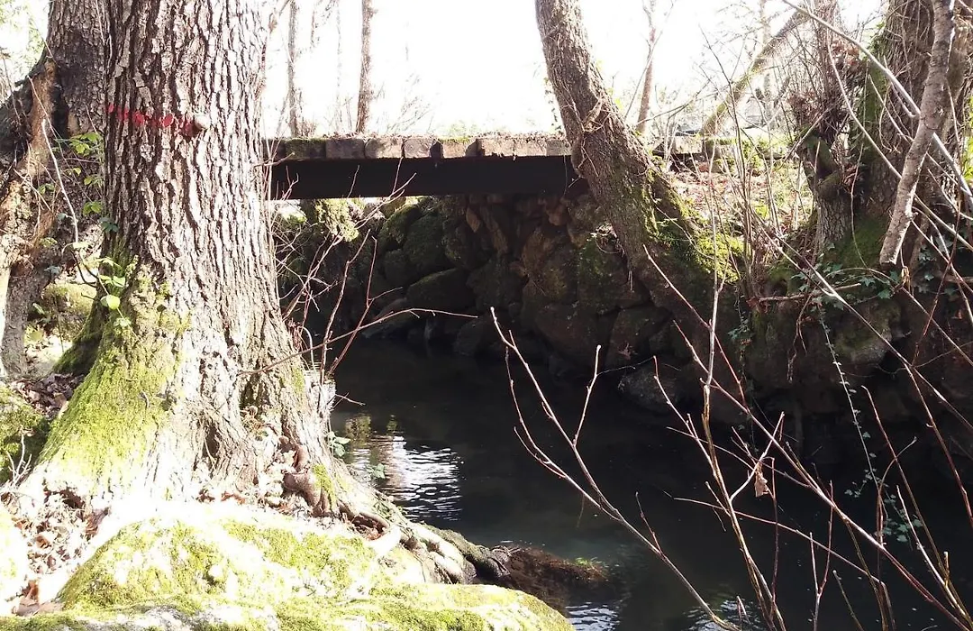 Q.Ta Moinhos Da Ponte-1