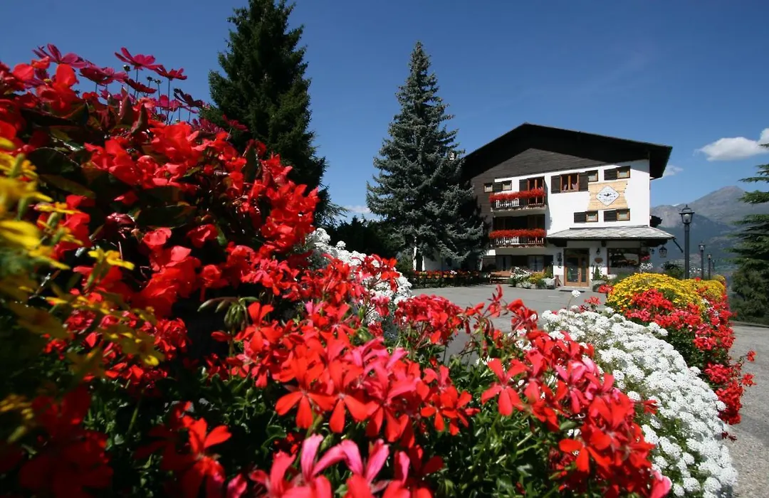 Hotel Tivet-1