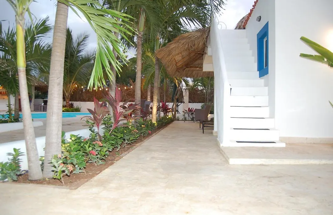 Nuovo Hotel Playa Catalina-1