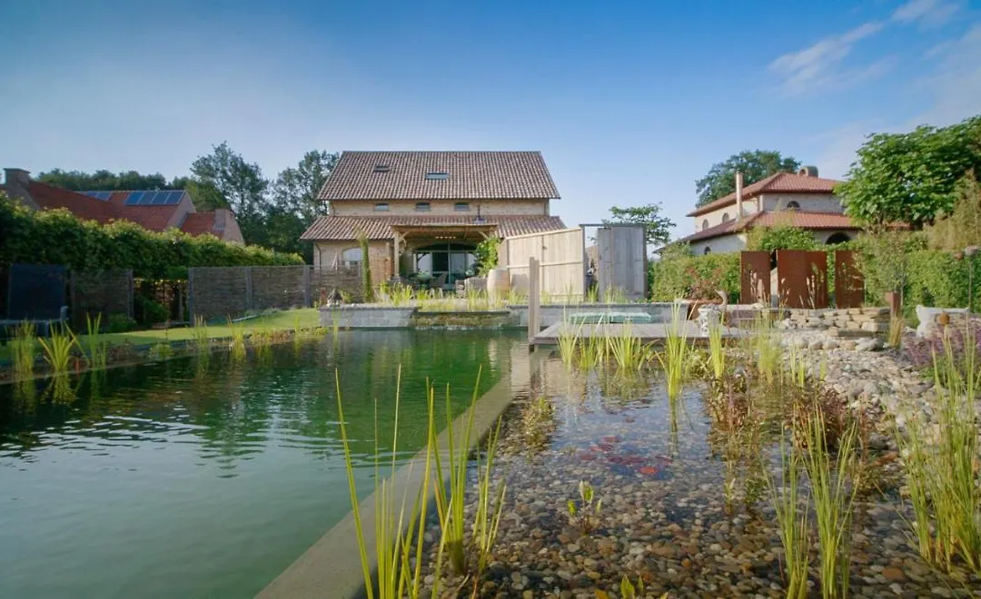 Lavendine Pure Guesthouse-1