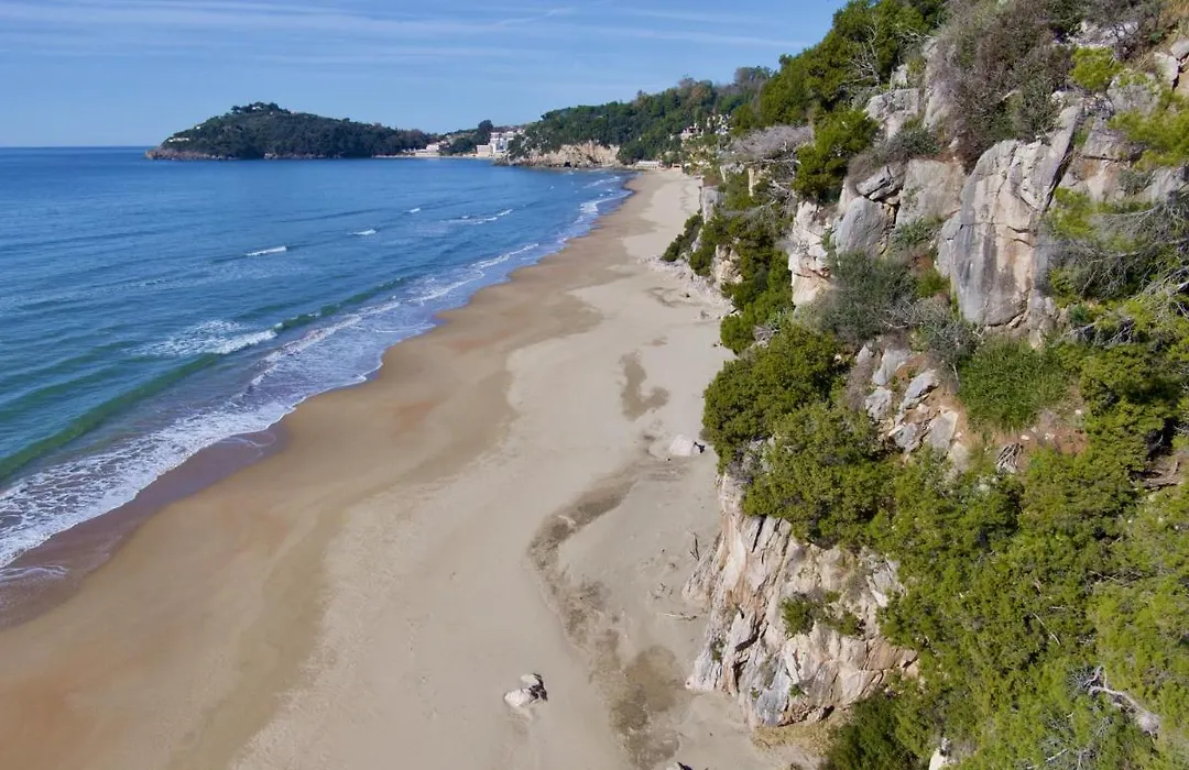 Loremar-1