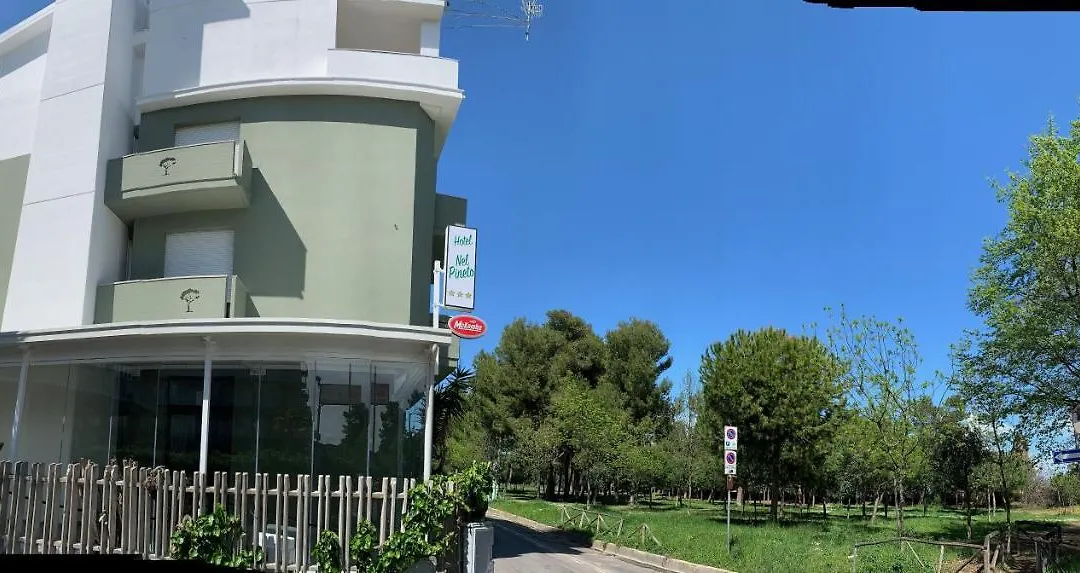 Hotel Nel Pineto-1