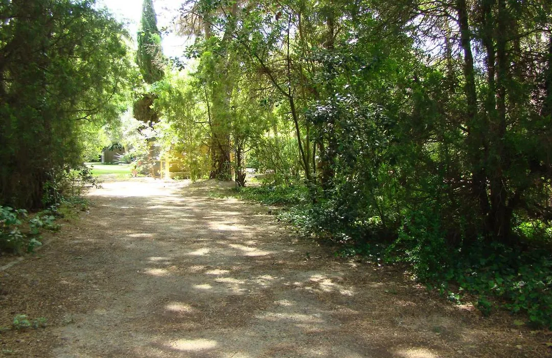 La Villa Saint André - Argeles sur mer-1