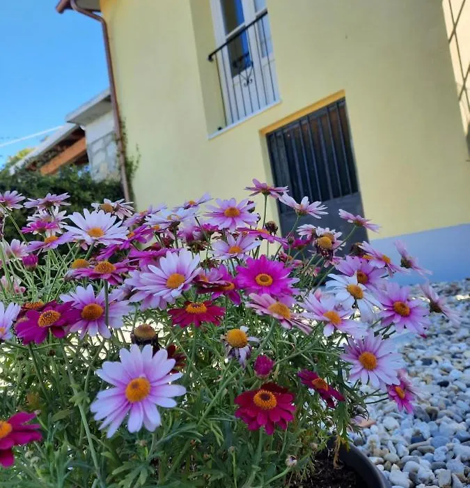 B&B Cà di Bollo-1