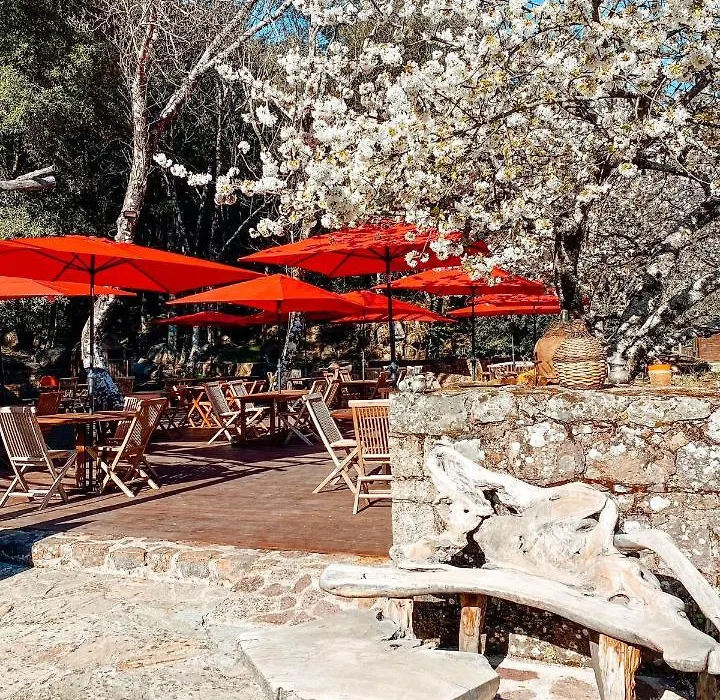 Auberge De La Foret Bonifatu-1