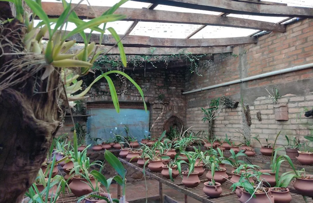 La Cautiva Iguazu Hotel-1