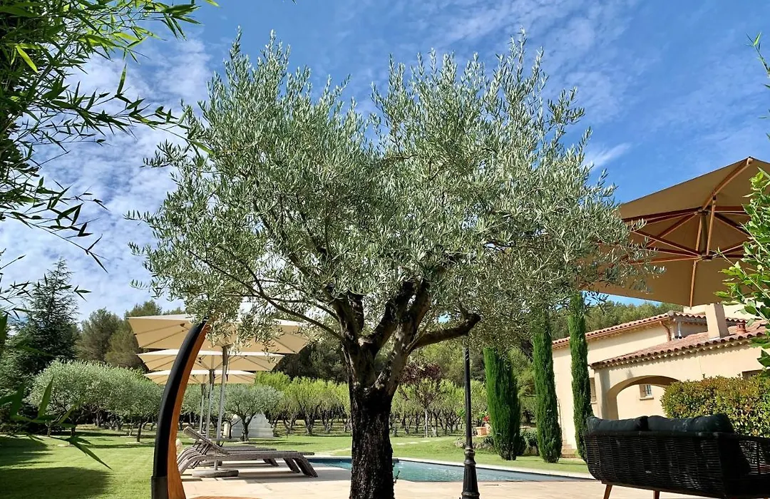 Le Jardin des Amandiers-1