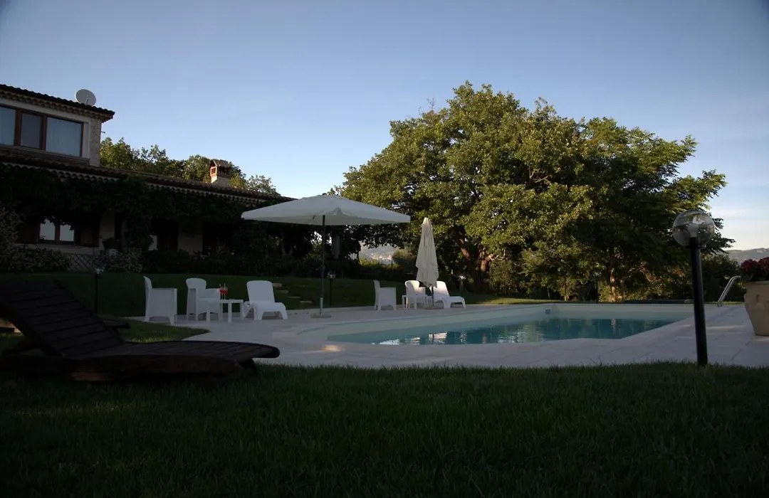 The Forest House-1