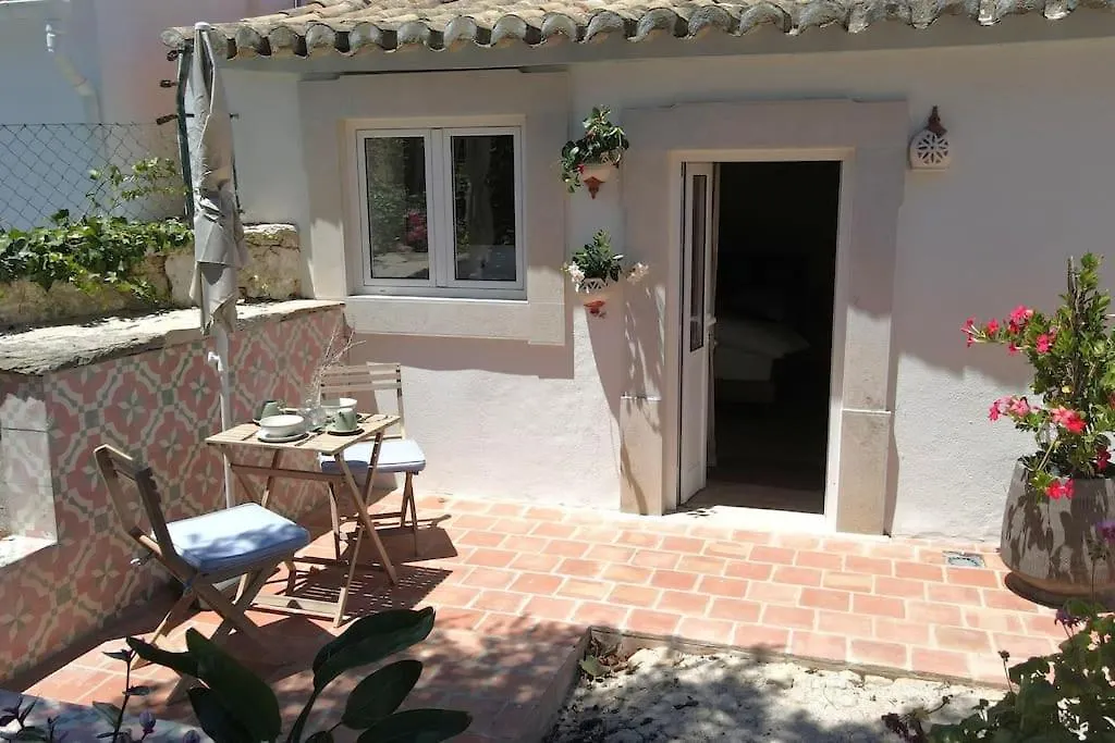 Vila Lobo Algarve-1