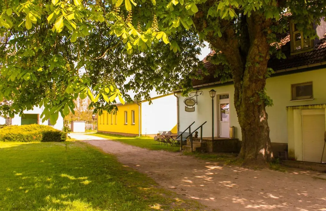 Pension Gestüt Lindenhof-1