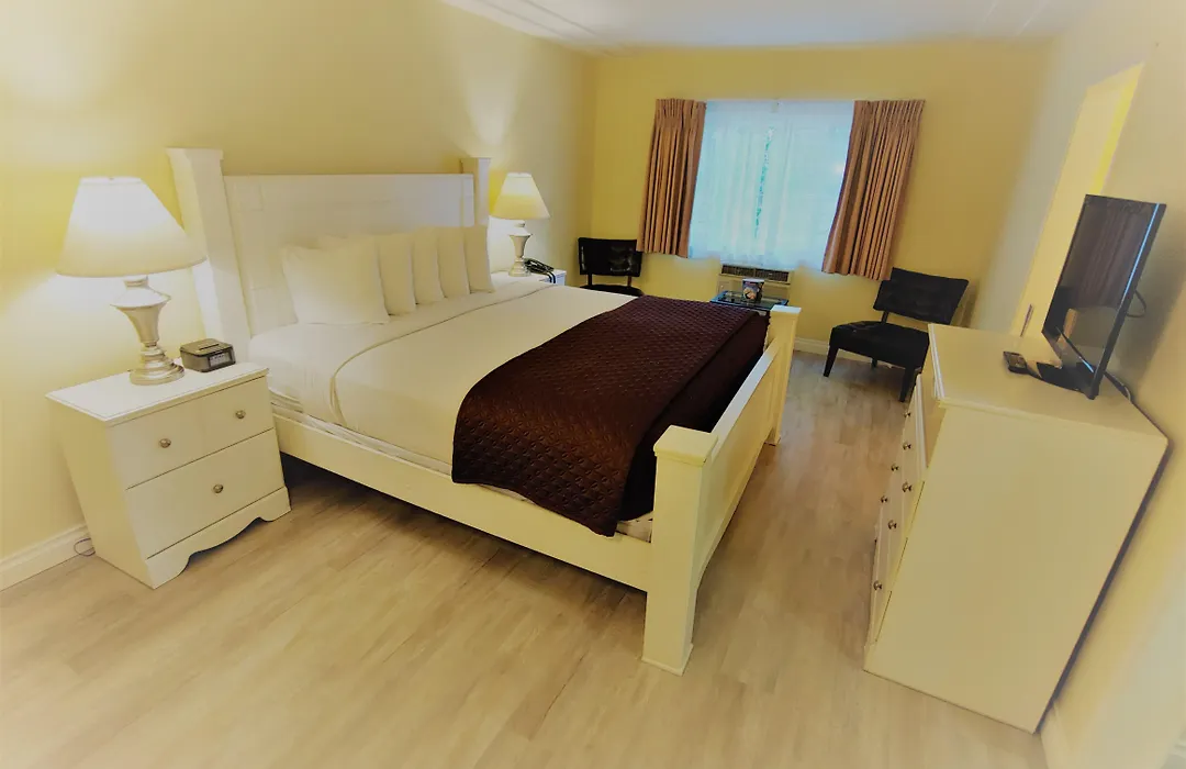 Hollywood Celebrity Hotel-1