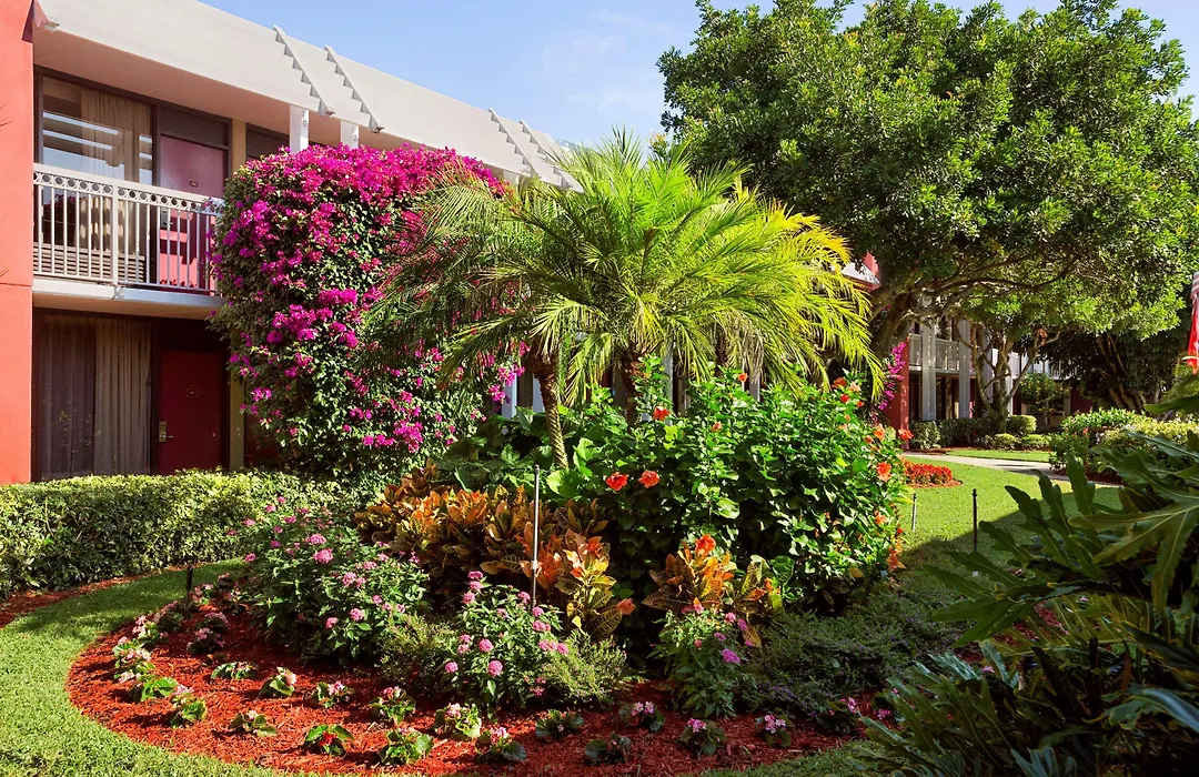 Collins Hotel Naples-1