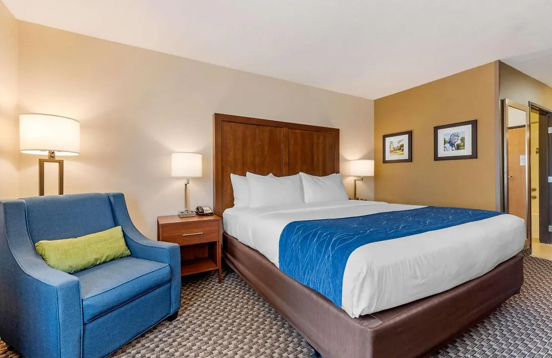 Comfort Inn & Suites Near Route 66-1