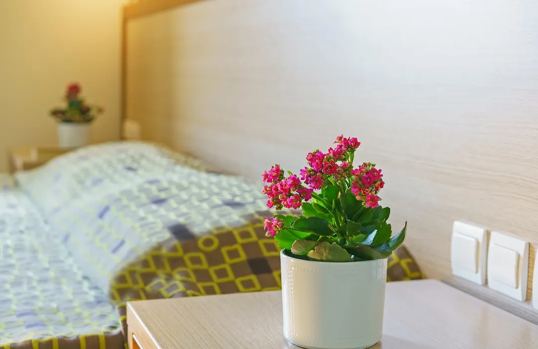 Alianthos Beach Hotel-1