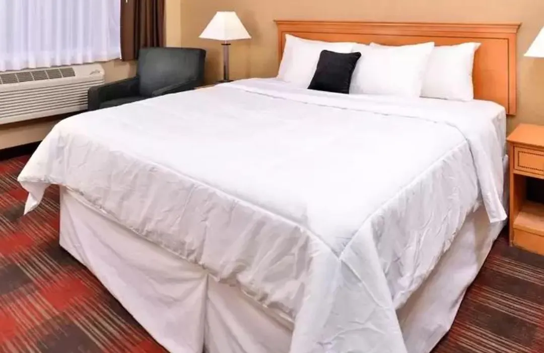 Quality Inn & Suites Airport-1