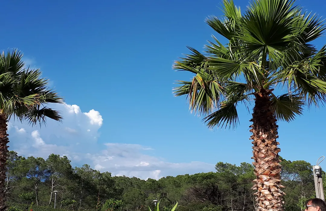 Les Parasols d'Argens-1