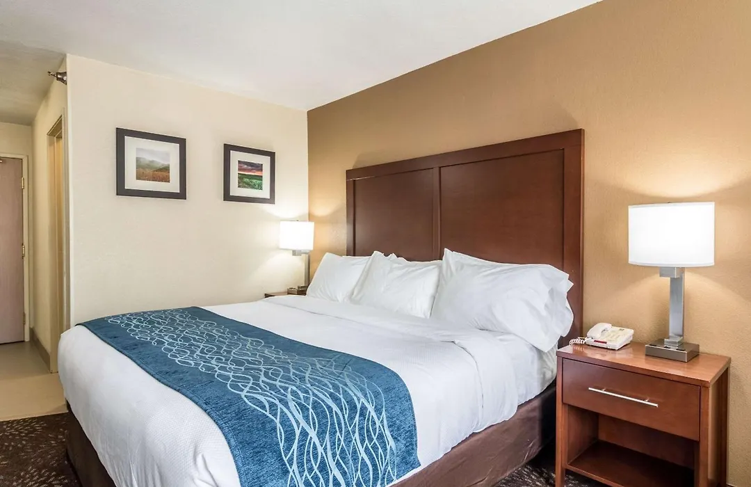 Comfort Inn & Suites - Hannibal-1