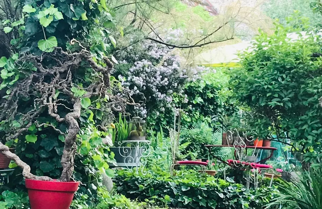 La Maison des Roses-1