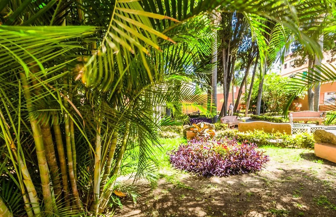 Hostal Tropical-1