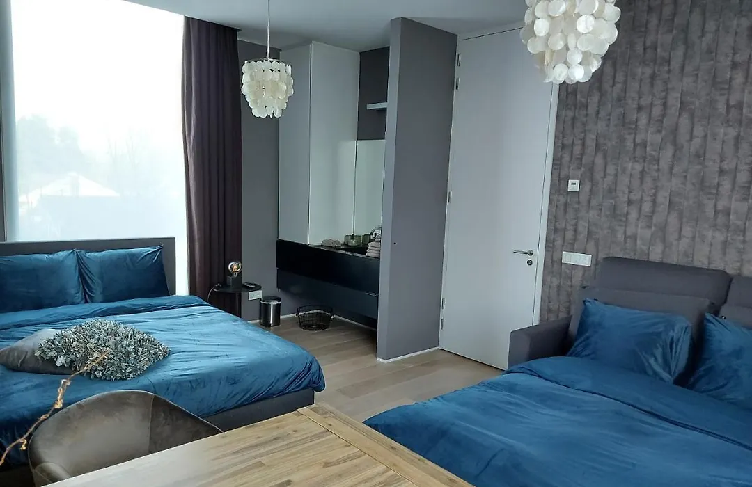 Bed&Wellness Boxtel, luxe kamer met airco en eigen badkamer-1