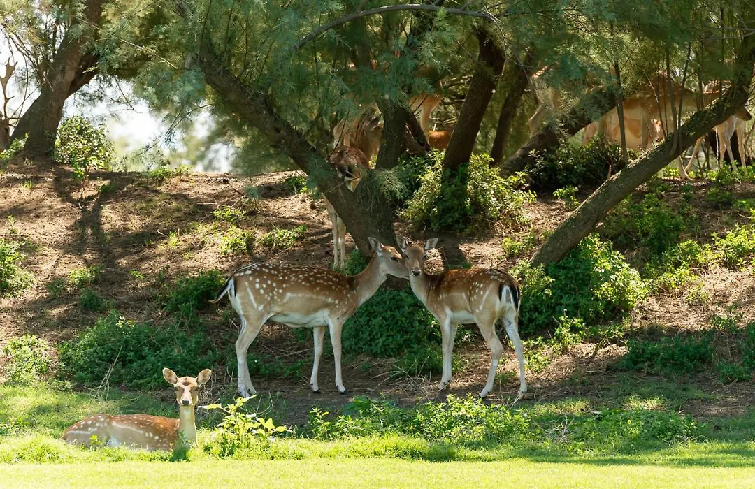 La Foresteria Del Golf-1